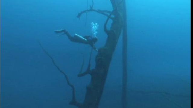 Diver Vanishing in Portal to Maya Underworld
