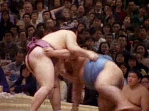 Sumo