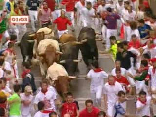 Running the bulls in Spain