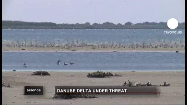 Activists: Danube Delta in Danger!